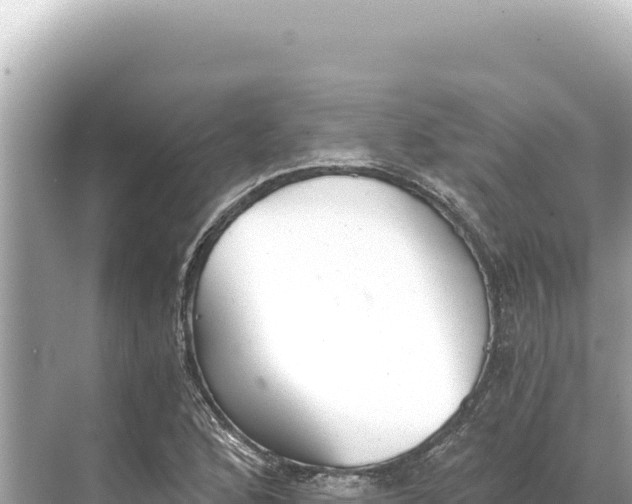 X0000068261168200605051741