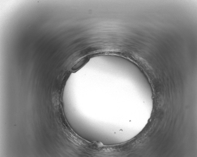 X0000068261169200605051741