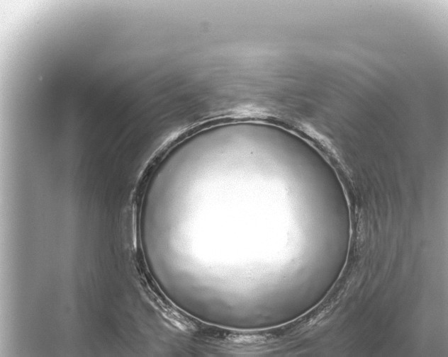 X0000068261171200605051741