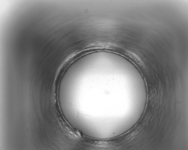 X0000068261172200605051741