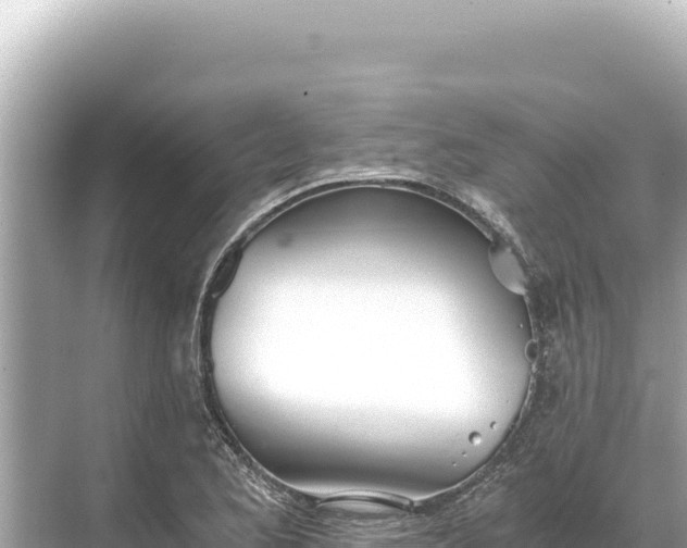 X0000068261173200605051741