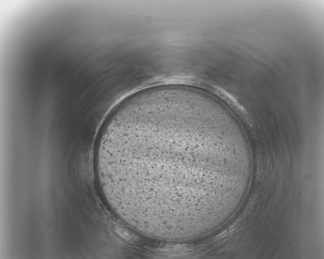 X0000068261174200605051741