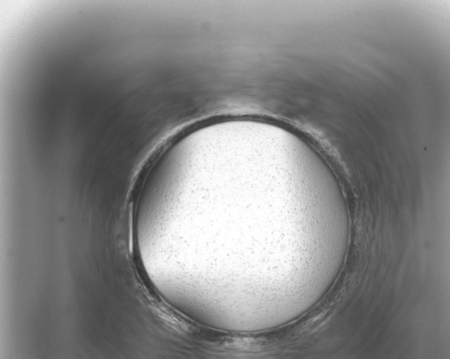 X0000068261175200605051741