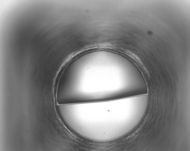 X0000068261176200605051741