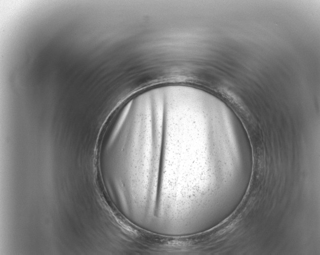 X0000068261178200605051741