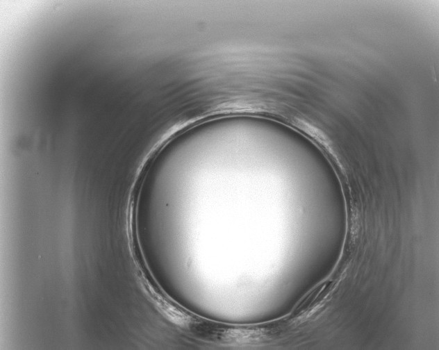 X0000068261179200605051741