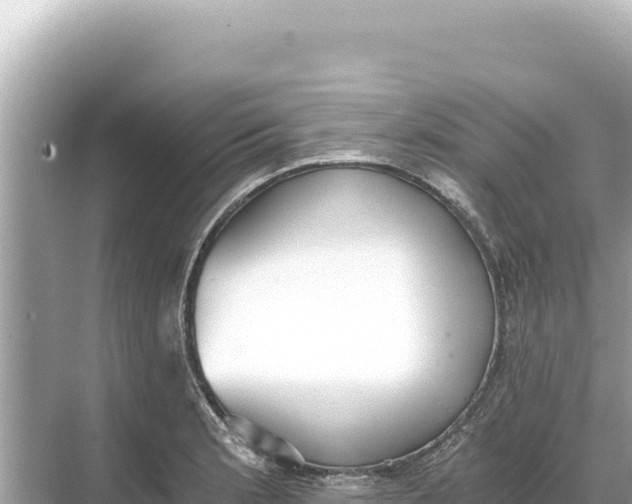 X0000068261181200605051741