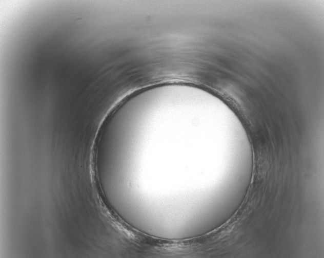 X0000068261182200605051741