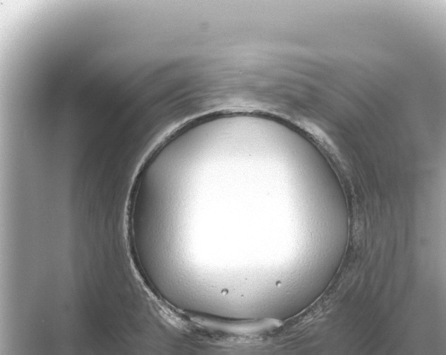 X0000068261183200605051741