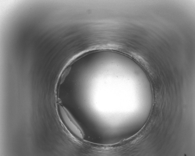 X0000068261184200605051741