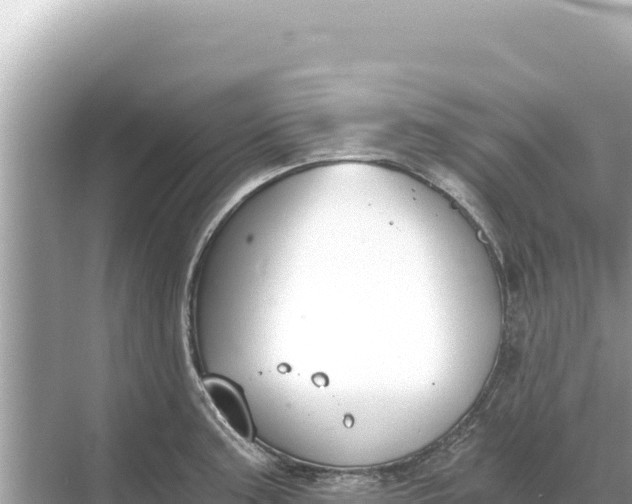 X0000068261187200605051741