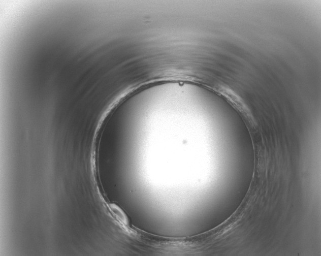 X0000068261188200605051741