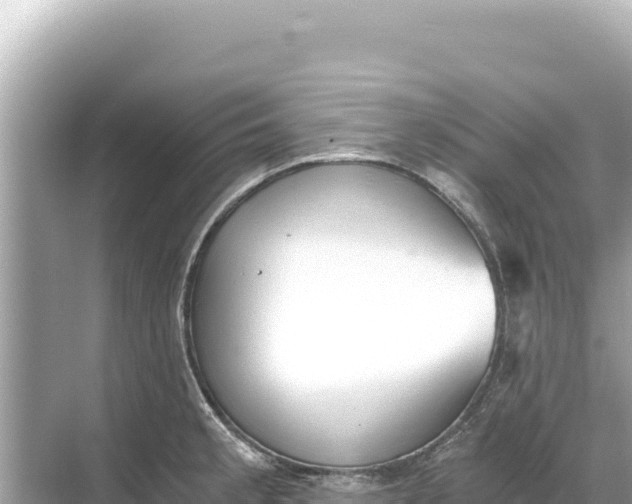 X0000068261189200605051741