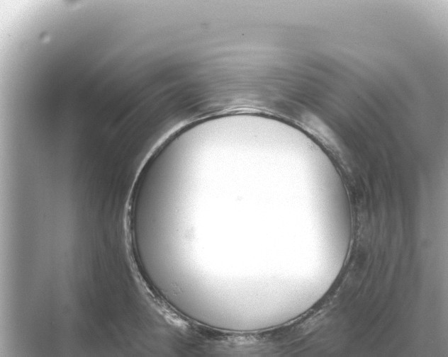 X0000068261190200605051741