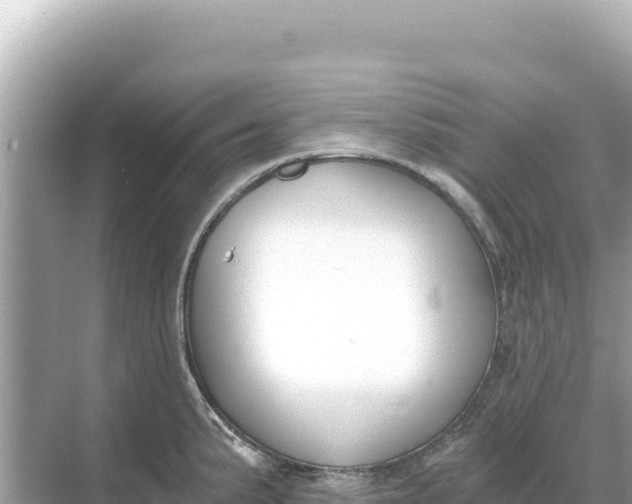 X0000068261191200605051741