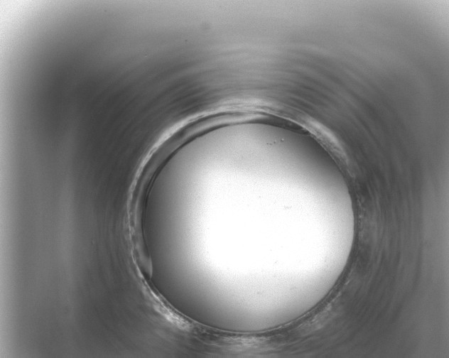 X0000068261192200605051741