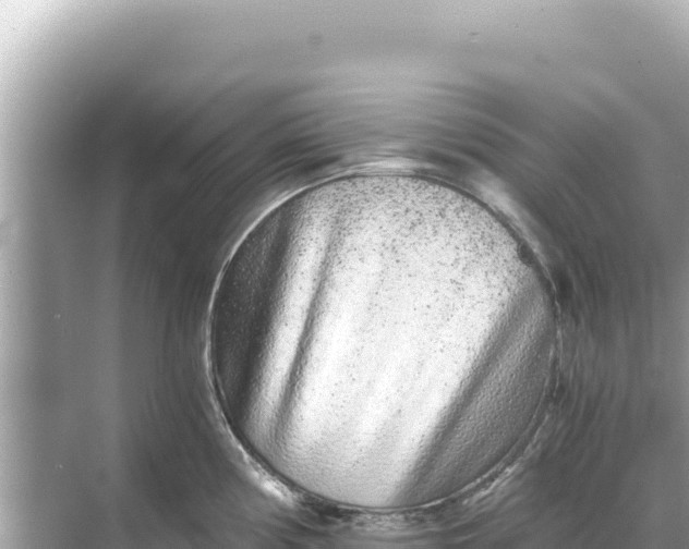 X0000068261194200605051741