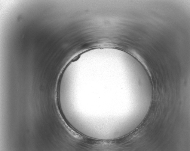 X0000068261195200605051741