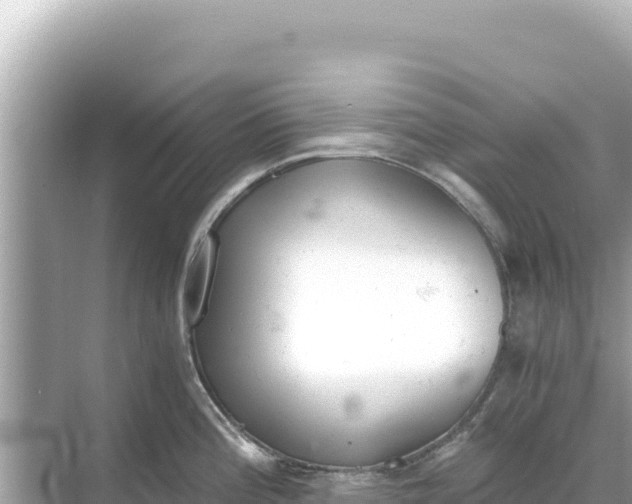 X0000068261196200605051741