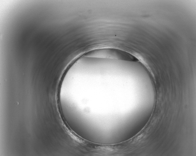 X0000068261197200605051741