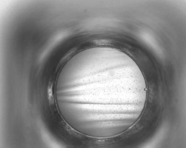 X0000068261198200605051741