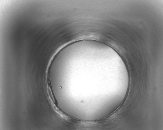 X0000068261200200605051741