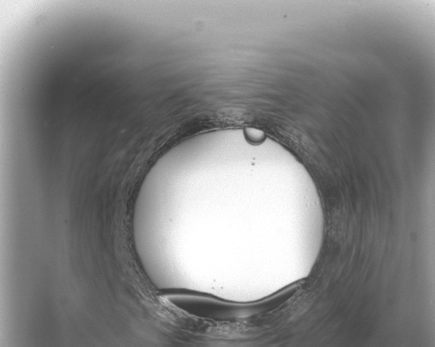 X0000068261201200605051740