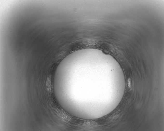 X0000068261203200605051740