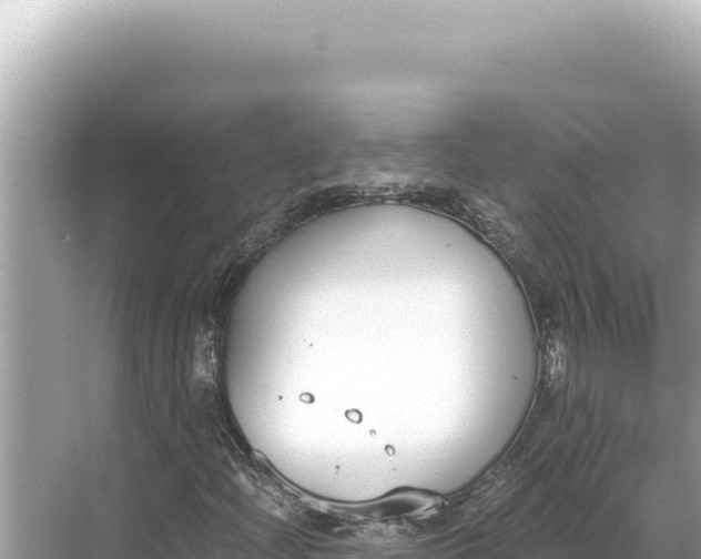 X0000068261204200605051740