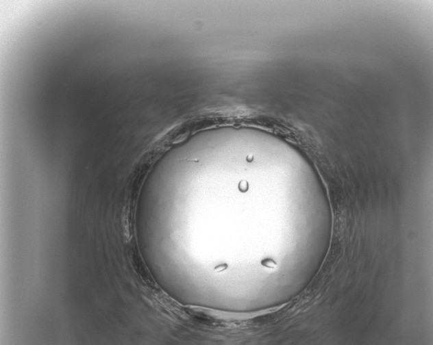 X0000068261205200605051740