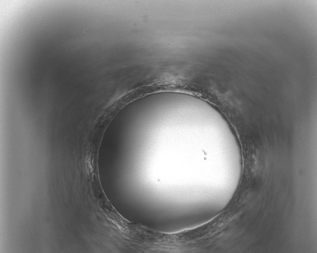 X0000068261206200605051740