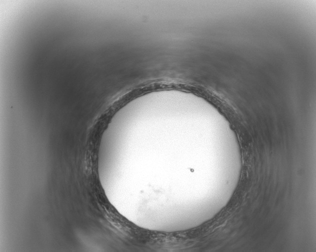 X0000068261207200605051740