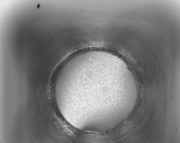 X0000068261208200605051740