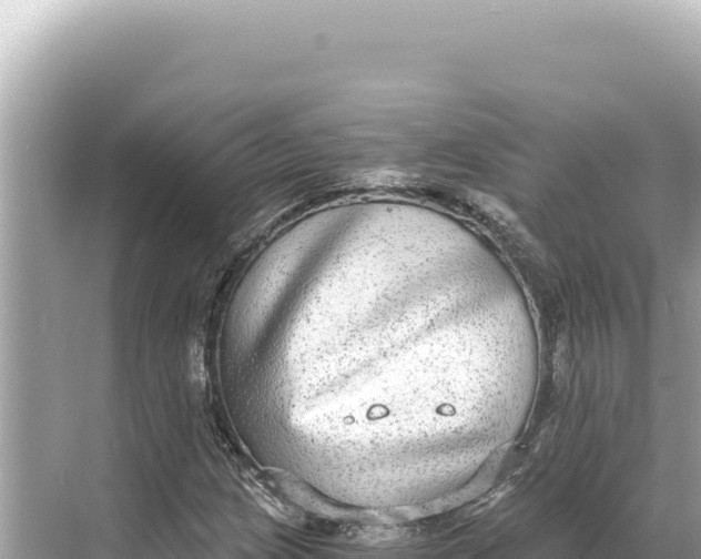 X0000068261209200605051740