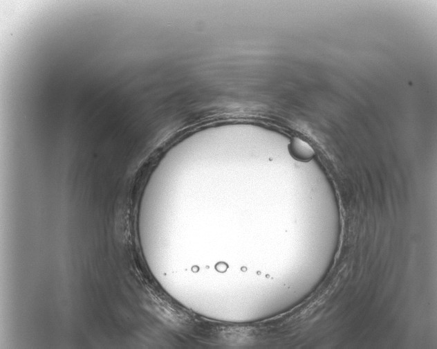 X0000068261211200605051740