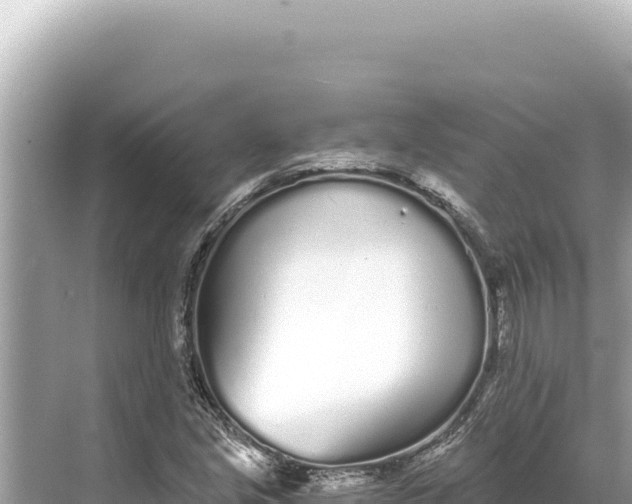 X0000068261213200605051740