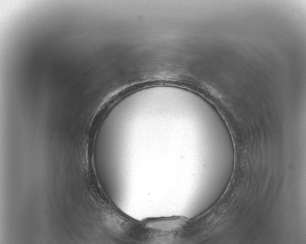 X0000068261214200605051740