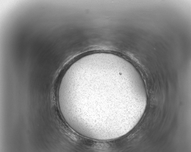 X0000068261215200605051740