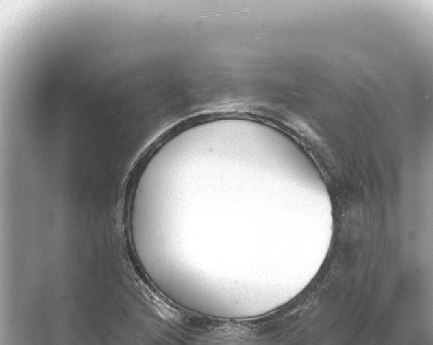 X0000068261216200605051740