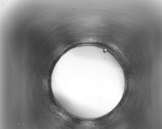 X0000068261217200605051740