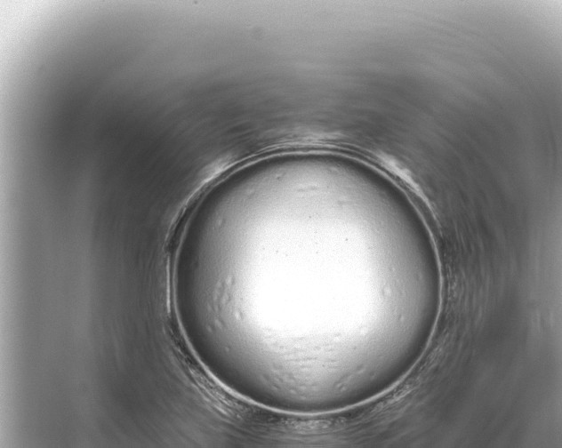 X0000068261219200605051740