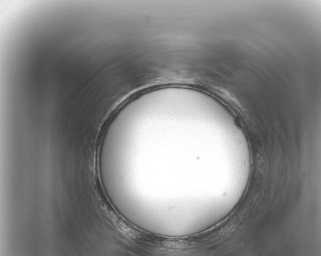 X0000068261220200605051740