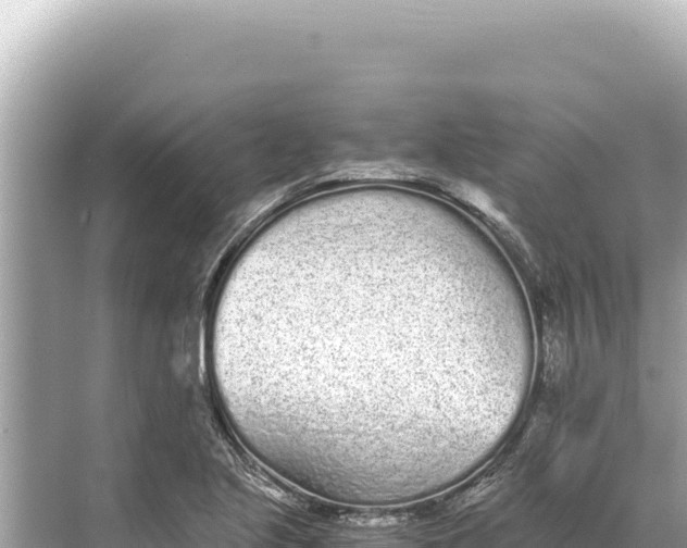 X0000068261221200605051740