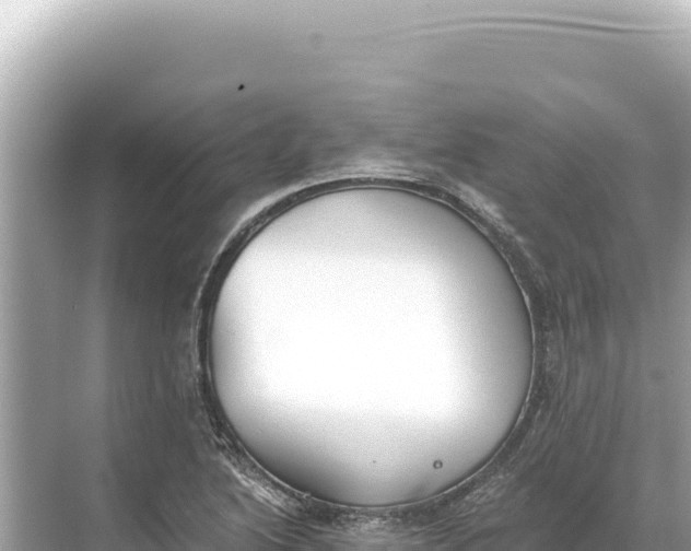 X0000068261222200605051740