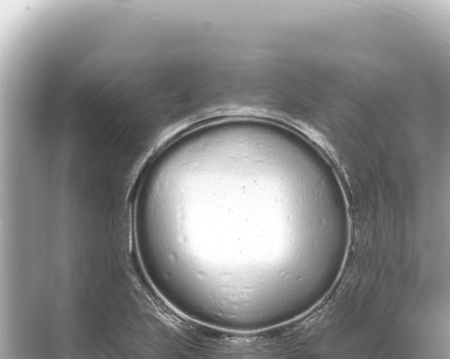 X0000068261223200605051740