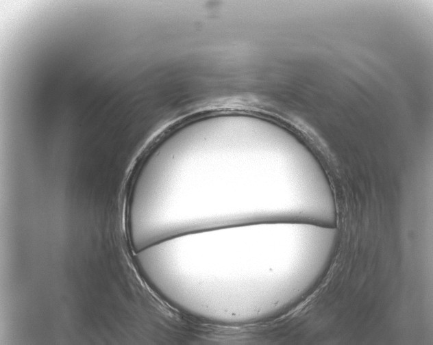 X0000068261224200605051740