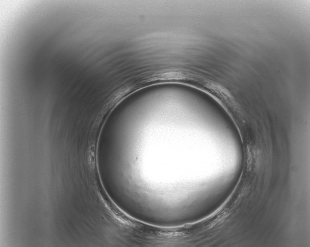 X0000068261225200605051740