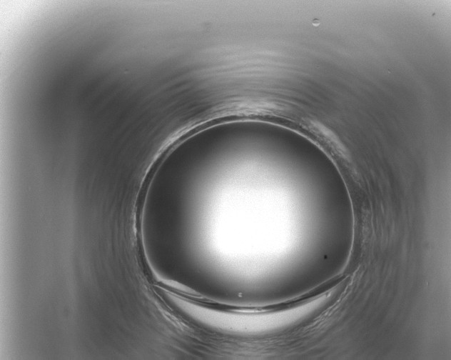 X0000068261226200605051740