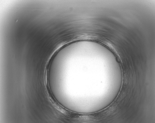 X0000068261227200605051740