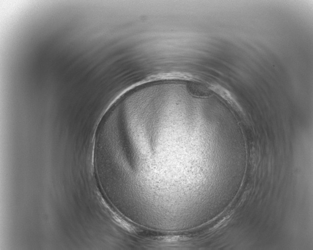 X0000068261228200605051741